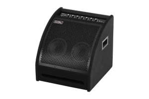 Изображение Soundking DS200