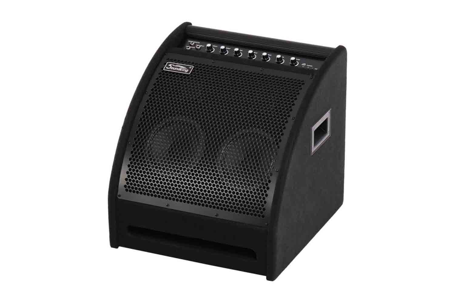 Комбоусилитель для ударных Soundking DS200 - Монитор для электронной ударной установки - фото 1
