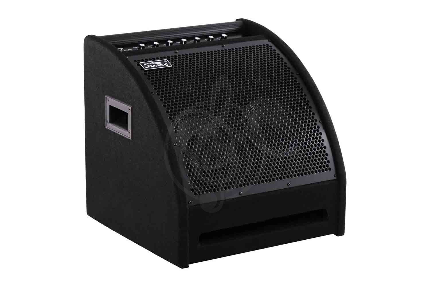 Комбоусилитель для ударных Soundking DS200 - Монитор для электронной ударной установки - фото 4
