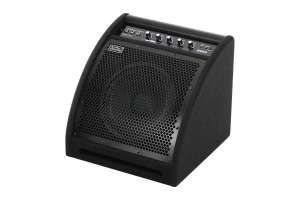 Изображение Soundking DS50 - Монитор для электронной ударной установки