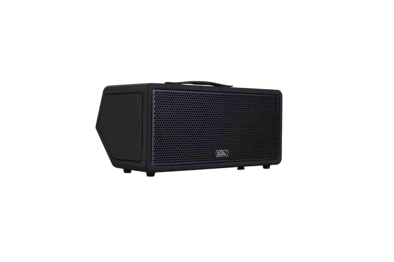 Комбоусилитель для электрогитары Soundking K100-Soundking - Комбоусилитель гитарный, портативный - фото 1