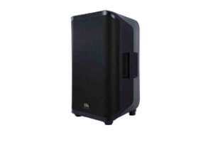 Изображение Soundking Y15P