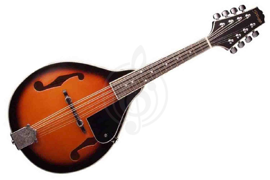 Stagg M20 - Мандолина - фото 1 Мандолина Stagg M20 - Мандолина - фото 1