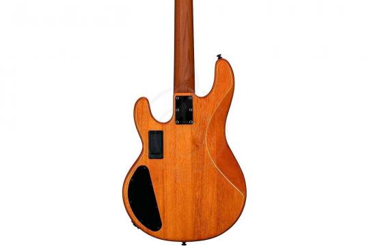 STERLING StingRay HH Poplar Burl Top Amber - Бас-гитара 4 струны - фото 2 Бас-гитара STERLING StingRay HH Poplar Burl Top Amber - Бас-гитара 4 струны - фото 2