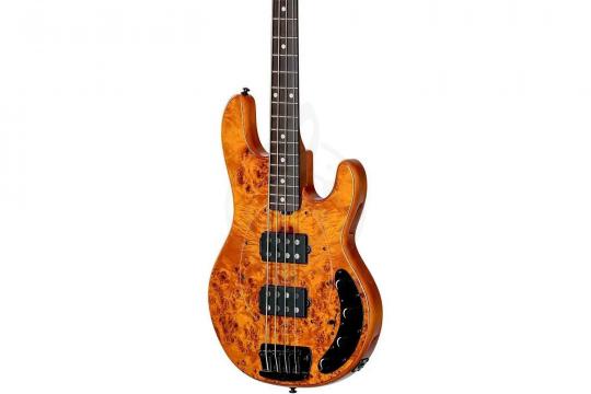 STERLING StingRay HH Poplar Burl Top Amber - Бас-гитара 4 струны - фото 4 Бас-гитара STERLING StingRay HH Poplar Burl Top Amber - Бас-гитара 4 струны - фото 4