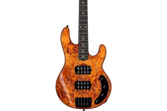 STERLING StingRay HH Poplar Burl Top Amber - Бас-гитара 4 струны - фото 5 Бас-гитара STERLING StingRay HH Poplar Burl Top Amber - Бас-гитара 4 струны - фото 5