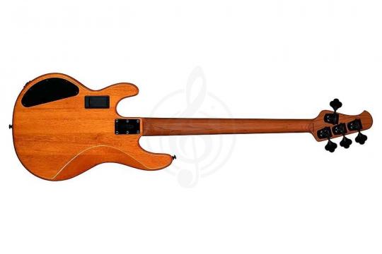 STERLING StingRay HH Poplar Burl Top Amber - Бас-гитара 4 струны - фото 6 Бас-гитара STERLING StingRay HH Poplar Burl Top Amber - Бас-гитара 4 струны - фото 6