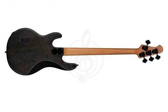 STERLING StingRay Trans Black - Бас-гитара 4 струны - фото 3 Бас-гитара STERLING StingRay Trans Black - Бас-гитара 4 струны - фото 3