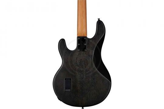 STERLING StingRay Trans Black - Бас-гитара 4 струны - фото 4 Бас-гитара STERLING StingRay Trans Black - Бас-гитара 4 струны - фото 4
