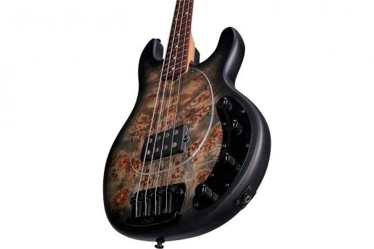 STERLING StingRay Trans Black - Бас-гитара 4 струны - фото 5 Бас-гитара STERLING StingRay Trans Black - Бас-гитара 4 струны - фото 5
