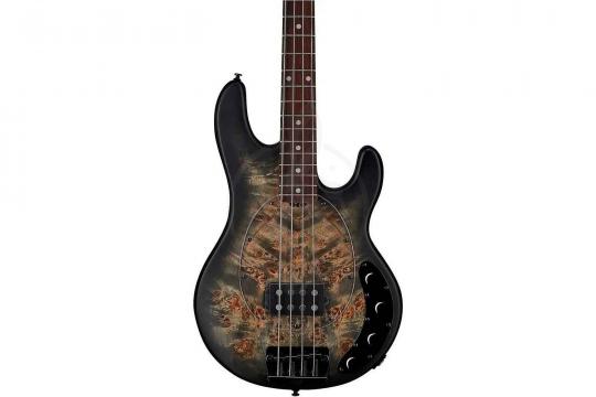 STERLING StingRay Trans Black - Бас-гитара 4 струны - фото 7 Бас-гитара STERLING StingRay Trans Black - Бас-гитара 4 струны - фото 7