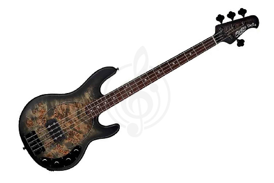 STERLING StingRay Trans Black - Бас-гитара 4 струны - фото 1 Бас-гитара STERLING StingRay Trans Black - Бас-гитара 4 струны - фото 1