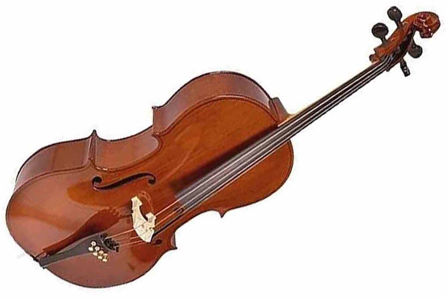 Виолончель 1/2 Strunal 40/4C-1/2 - Виолончель 1/2, студенческая - фото 1