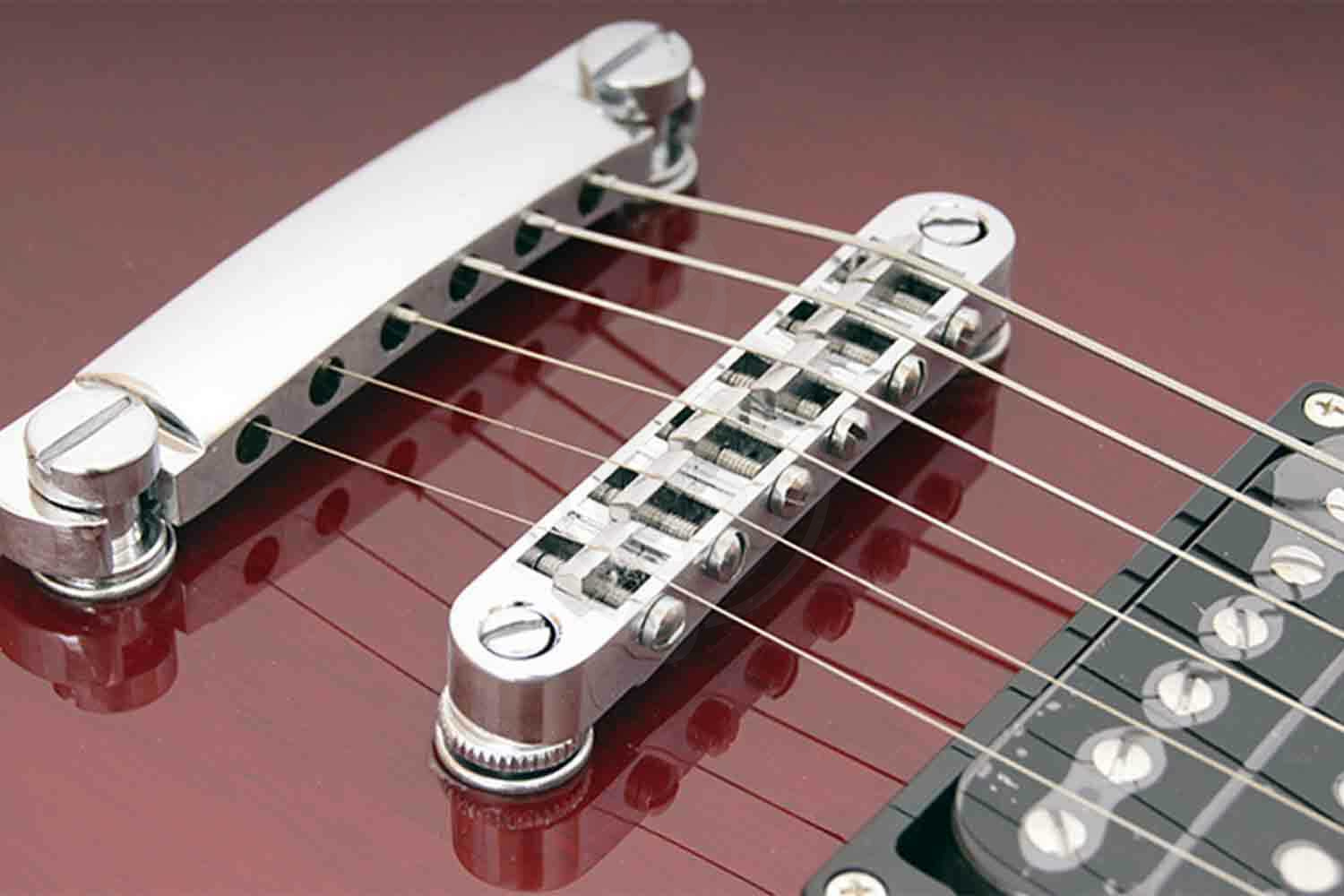 Электрогитара SG Swing SG-100-WR - Электрогитара - фото 6