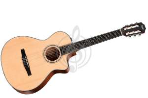 Изображение Прочие 312ce-N 300 SeriesNylon