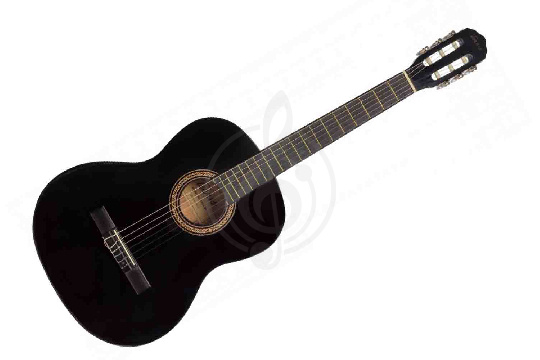 Классическая гитара 4/4 TERRIS TC-390A BK - Классическая гитара 4/4 - фото 1