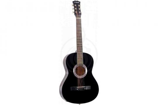 Акустическая гитара TERRIS TF-BK Starter Pack - Комплект акустической гитары - фото 2