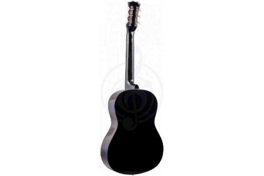 Акустическая гитара TERRIS TF-BK Starter Pack - Комплект акустической гитары - фото 16