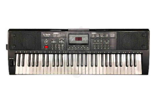 Синтезатор TERRIS TK-250 BK - Синтезатор - фото 1