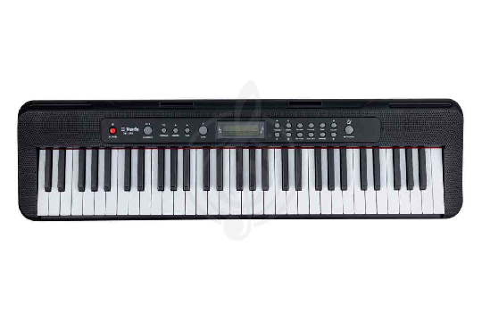 Синтезатор TERRIS TK-405 BK - Синтезатор - фото