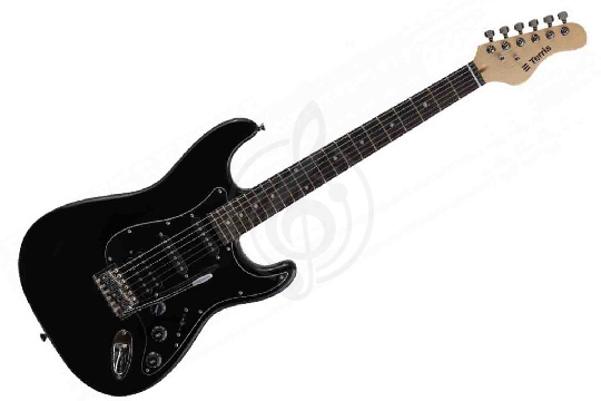 Terris TST-065 BK - Электрогитара - фото 1 Электрогитара Stratocaster Terris TST-065 BK - Электрогитара - фото 1