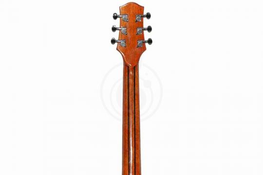 Трансакустическая гитара TIGER T-1 D-GGP NS - Трансакустическая гитара - фото 2