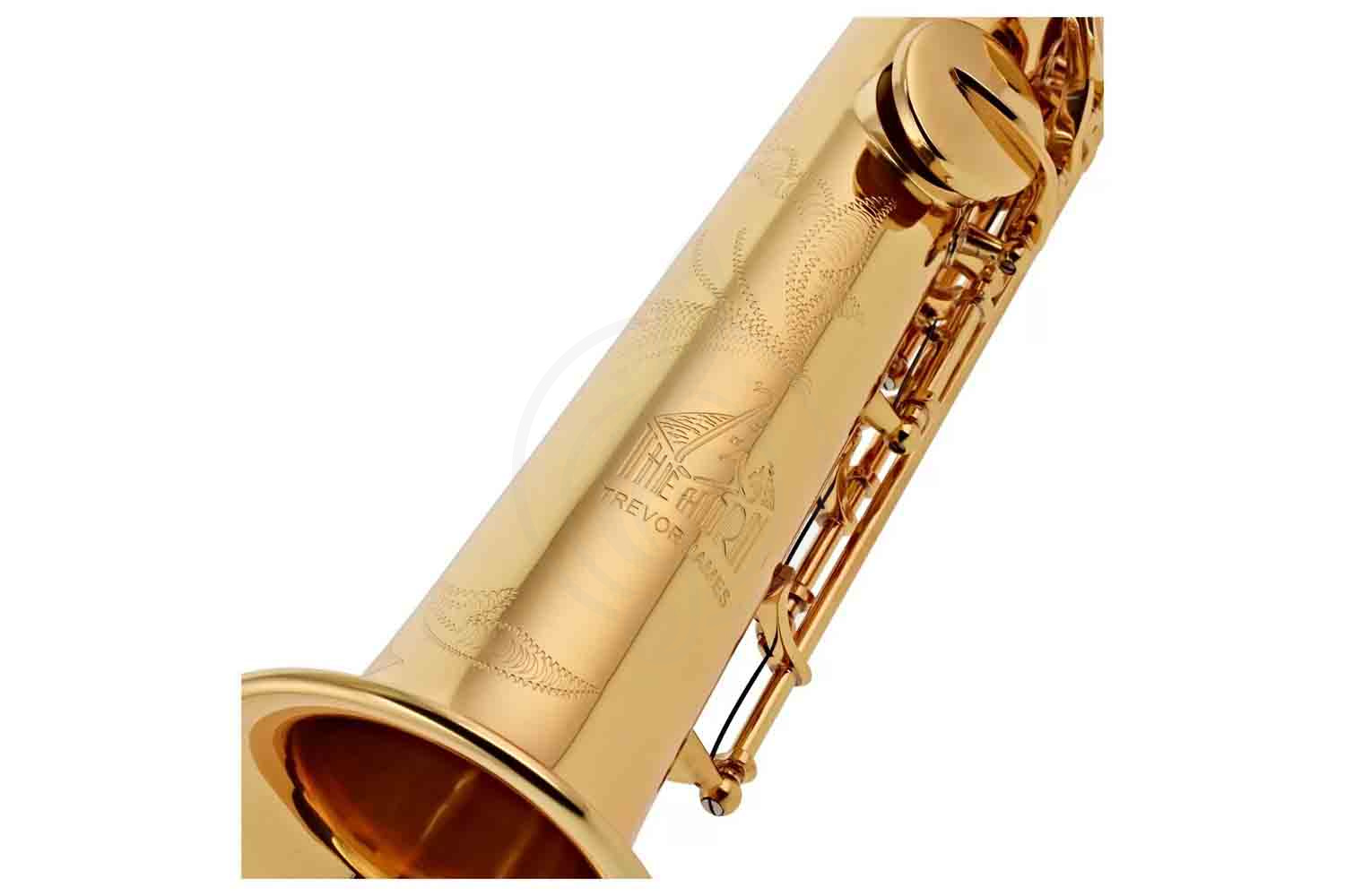 Саксофон сопрано Trevor James The Horn 3630G - Саксофон сопрано, прямой - фото 2