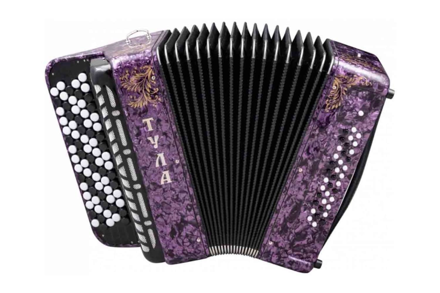  Тульская Гармонь BN-46-PR - Баян ученический "Тула" 77/46x37-II, фиолетовый - фото 1