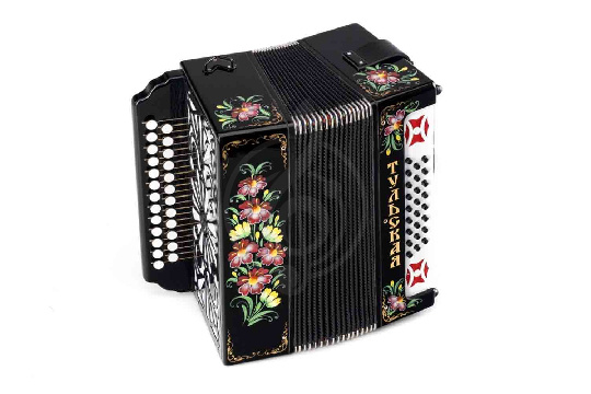Гармонь Тульская гармонь - G-21-BK 301М 25х25-III с двумя ремнями, черная - фото 1