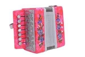 Изображение Гармонь Тульская Гармонь GN-25-PINK