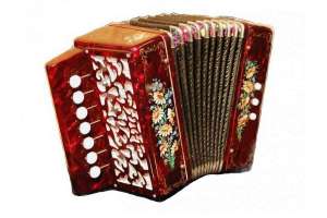 Изображение Гармонь Тульская Гармонь GN-25-RD
