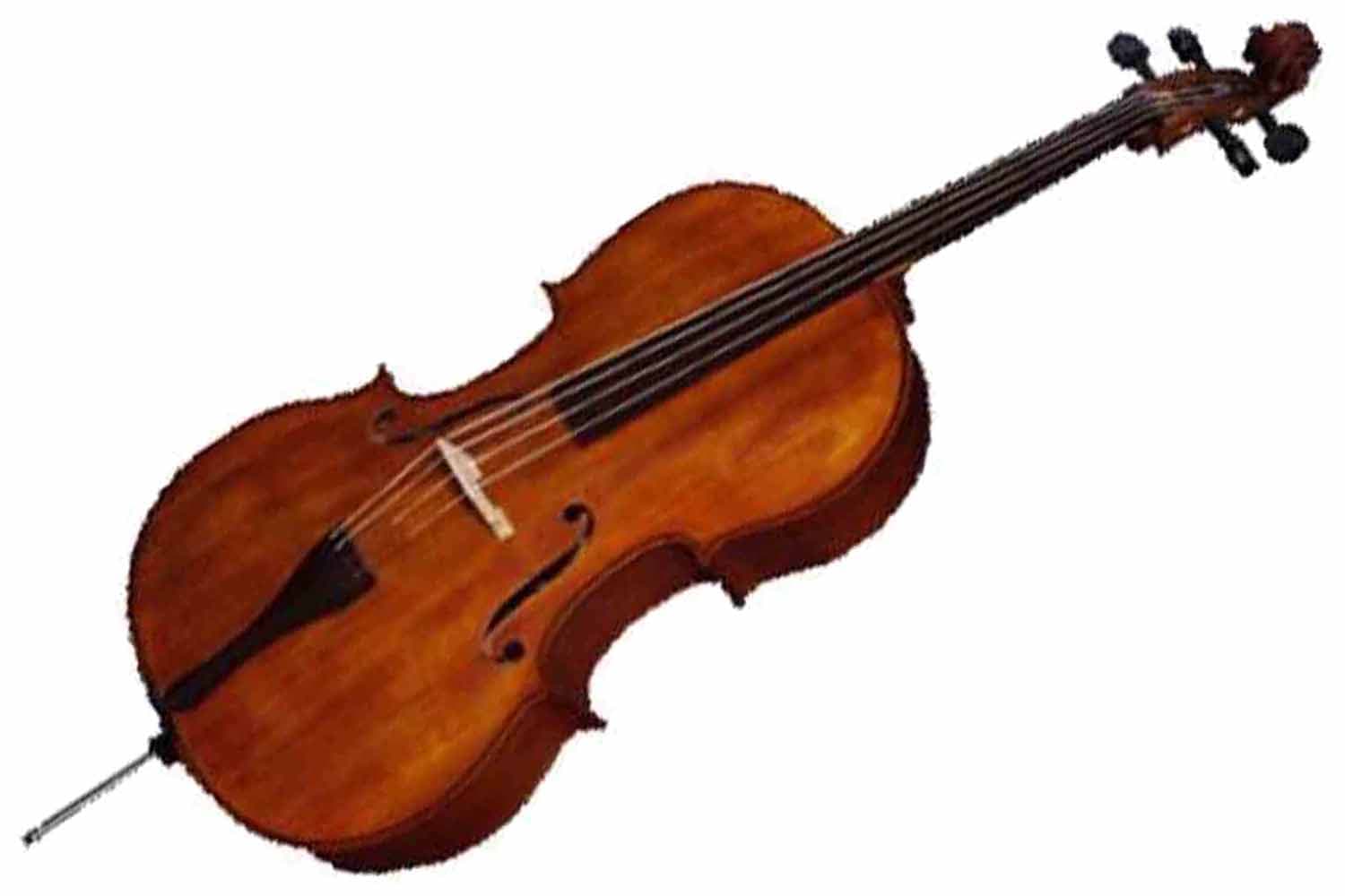 Виолончель 1/2 Виолончель KARL HEINLICH THC-32 1/2 - фото 1