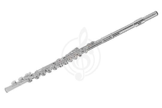 Флейта сопрано VIVOTON Standart 16 X - Флейта сопрано - фото 1