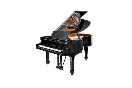 W. Hoffmann Professional P 162 BLP - Рояль акустический, цвет черный, полированный - фото 1 Акустический рояль W. Hoffmann Professional P 162 BLP - Рояль акустический, цвет черный, полированный - фото 1