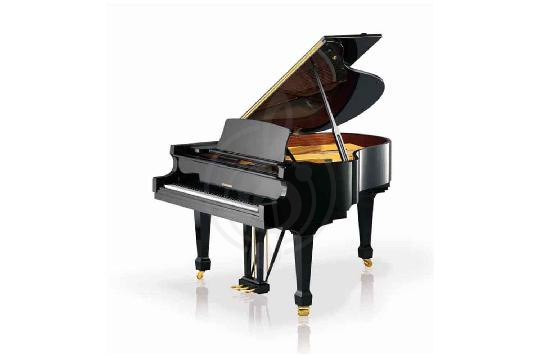W. Hoffmann Tradition T 177 BLP VARIO - Рояль акустический, цвет черный, полированный - фото 1 Акустический рояль W. Hoffmann Tradition T 177 BLP VARIO - Рояль акустический, цвет черный, полированный - фото 1