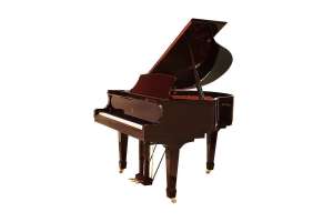 Изображение Weber W150 MBP