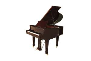 Изображение Weber W157 MBP