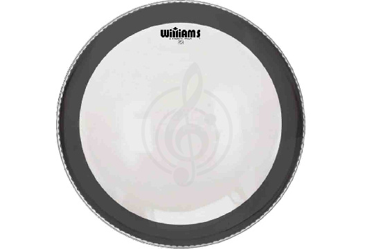 Williams W1SC-7MIL-20 Clear Silent Circle Series - Пластик для бас-барабана 20", прозрачный - фото 1 Пластик для бочки Williams W1SC-7MIL-20 Clear Silent Circle Series - Пластик для бас-барабана 20", прозрачный - фото 1