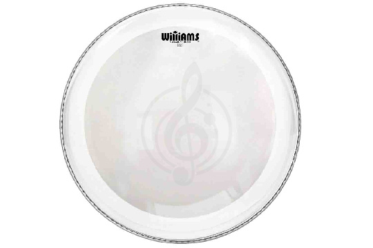 Пластик для бочки Williams W1xSC-10MIL-22 Xtreme Silent Circle Series - Пластик для бас-барабана 22", прозрачный - фото