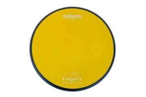 Изображение Williams WSP8-EB