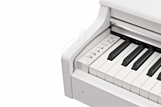 Цифровое пианино Yamaha YDP-164WH - Цифровое пианино - фото 2