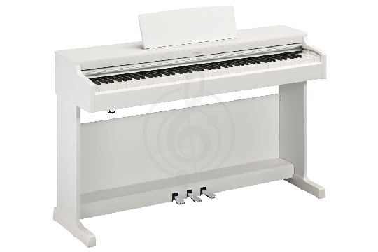 Цифровое пианино Yamaha YDP-164WH - Цифровое пианино - фото 1